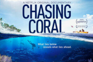 Chasing Coral small